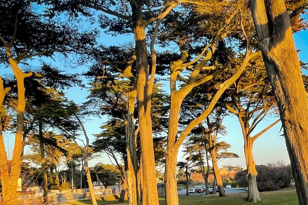 Unique ! Acces Direct A La Plage ! Duplex Avec Grand Solarium Batz-sur-Mer Exteriör bild